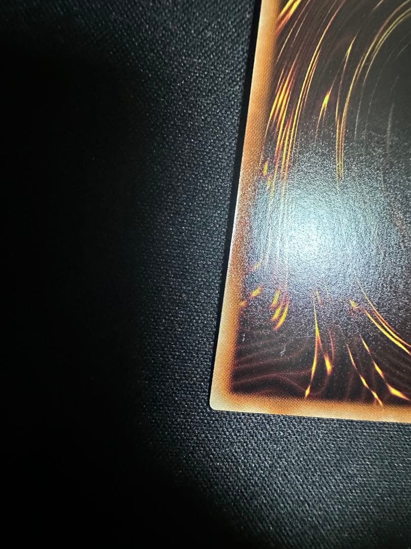 遊戯王　ナチュルパルキオン　DTC シク