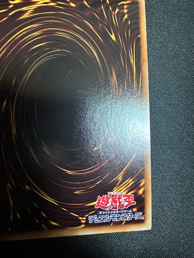 遊戯王　ナチュルパルキオン　DTC シク