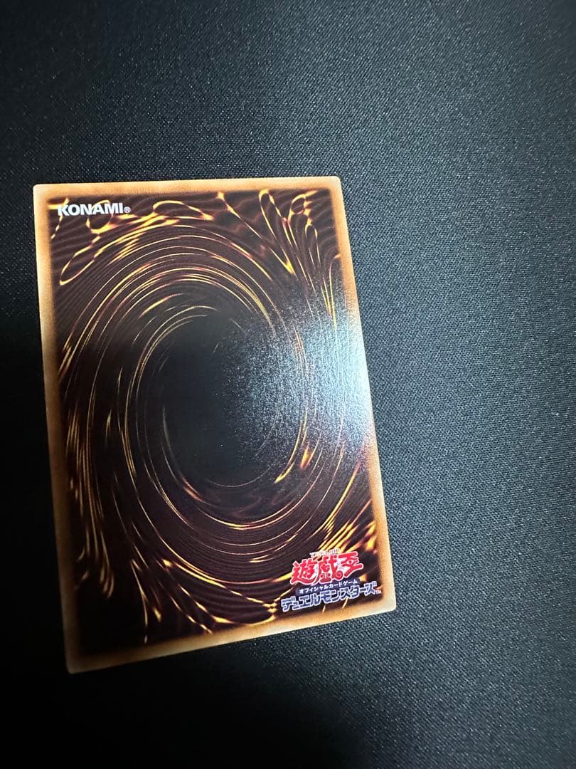 遊戯王　ナチュルパルキオン　DTC シク