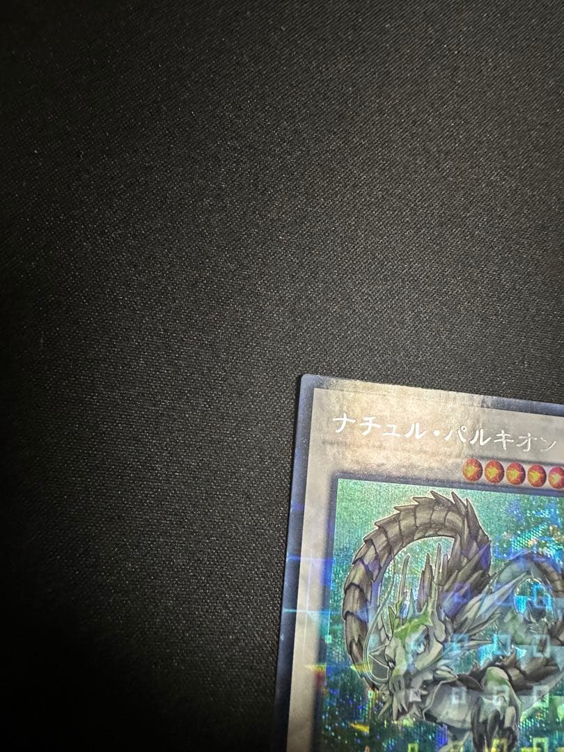 遊戯王　ナチュルパルキオン　DTC シク