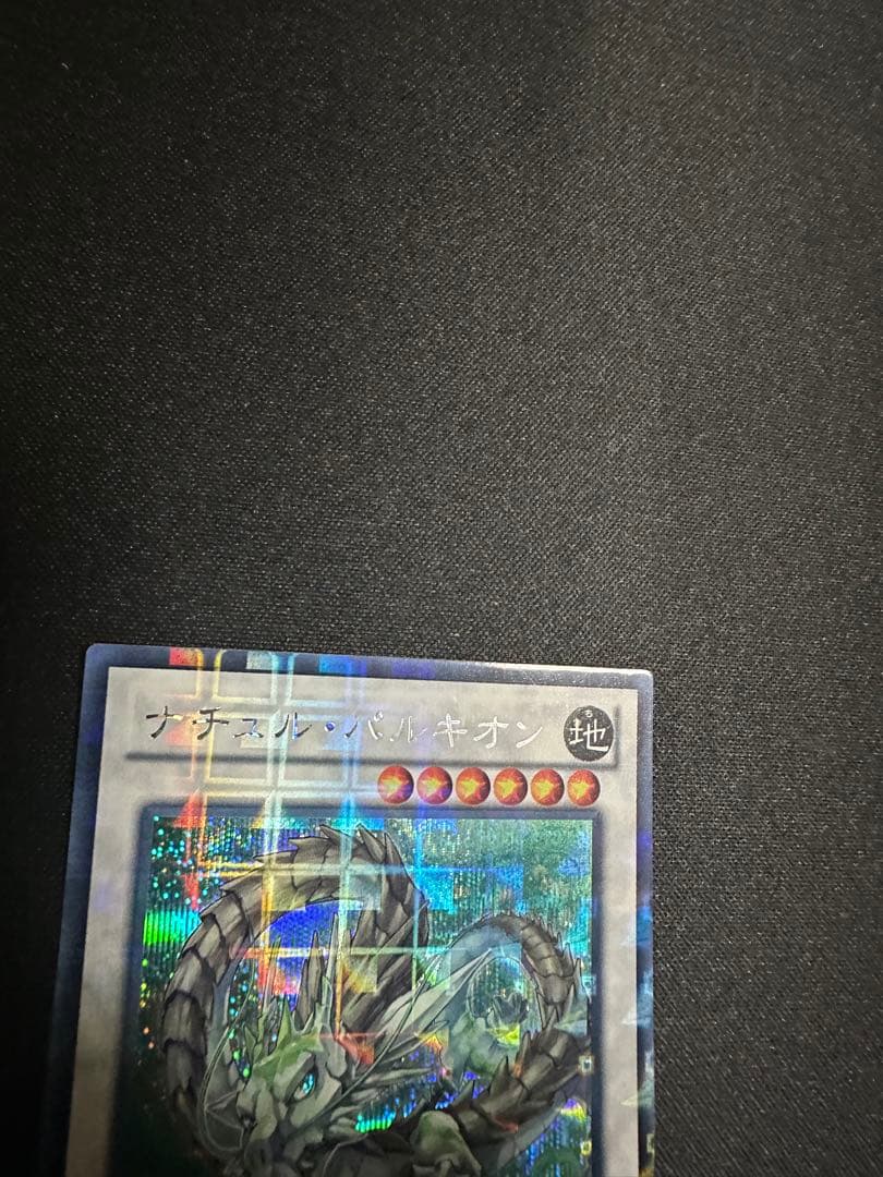 遊戯王　ナチュルパルキオン　DTC シク