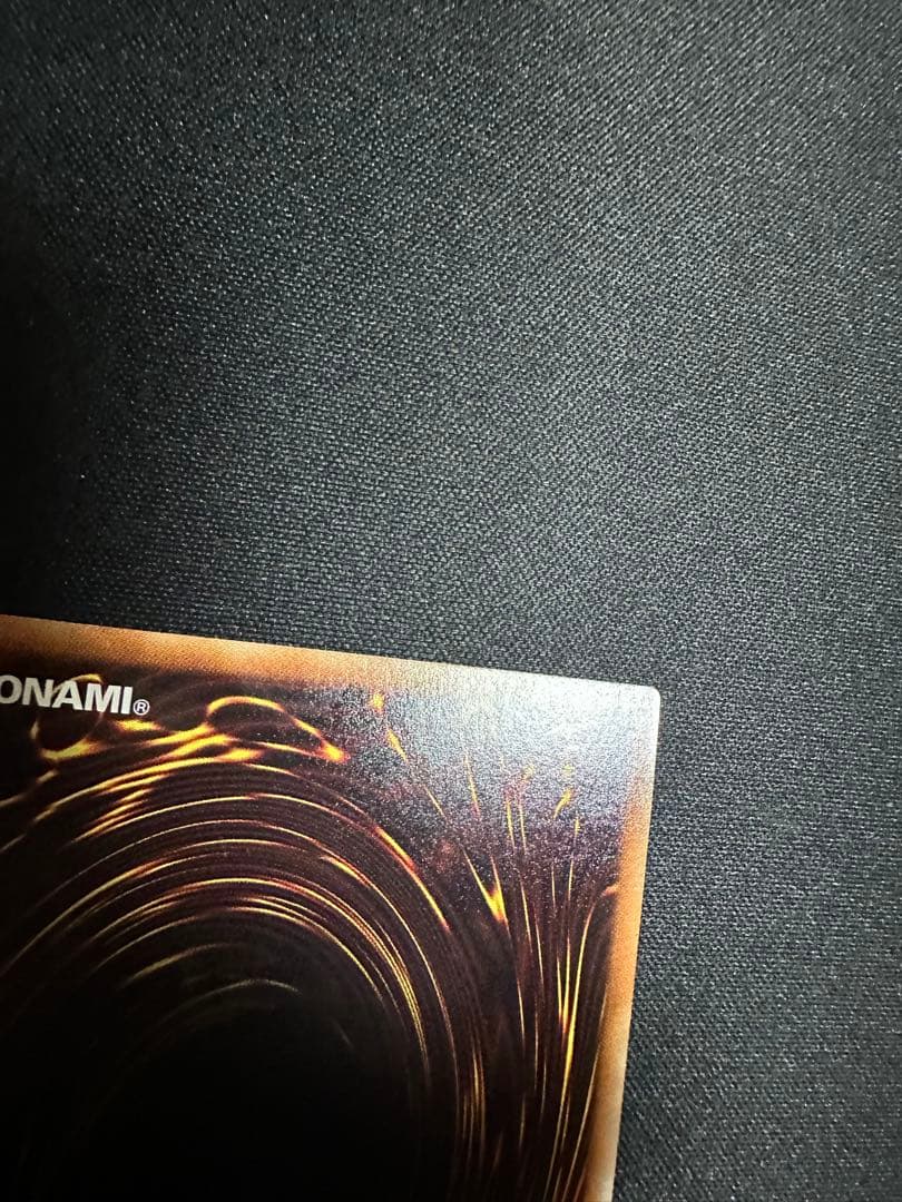 遊戯王　ナチュルパルキオン　DTC シク