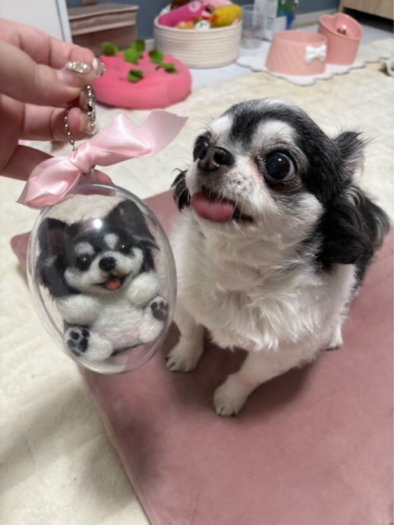 まんまるあにまるず　うちの子オーダー　羊毛フェルト　ペット