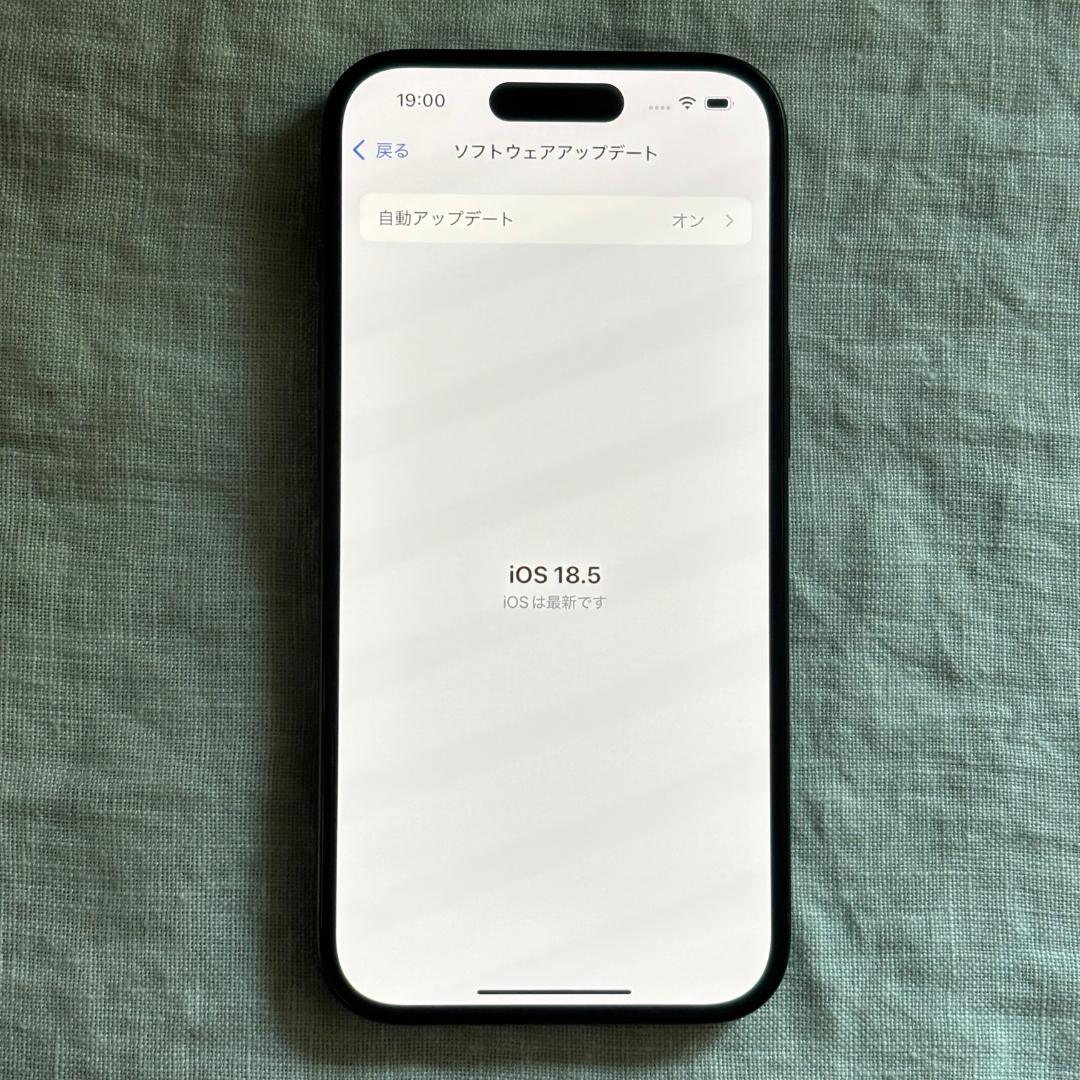 iPhone15 128GB ブラック SIMフリー バッテリー100％ 保証有