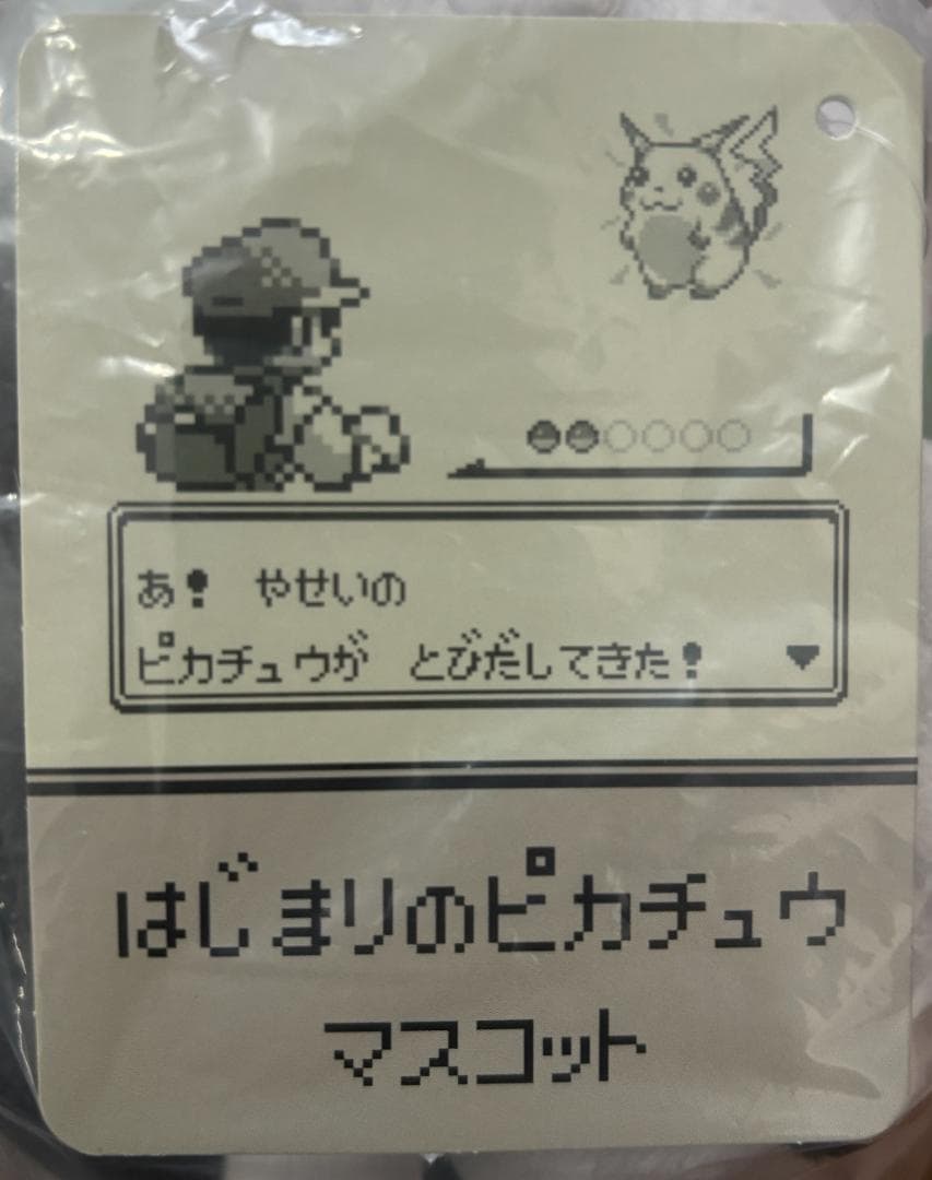 即納）ポケモン30周年 はじまりのピカチュウぬいぐるみ＋マスコット ポケセン限定
