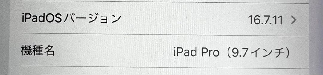 iPad pro 9.7インチ　シルバー【32GB】