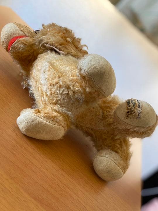 テディベア　メリーソート犬