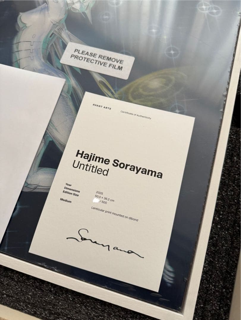 Hajime Sorayama Untitled 空山基 ED500 フレーム付