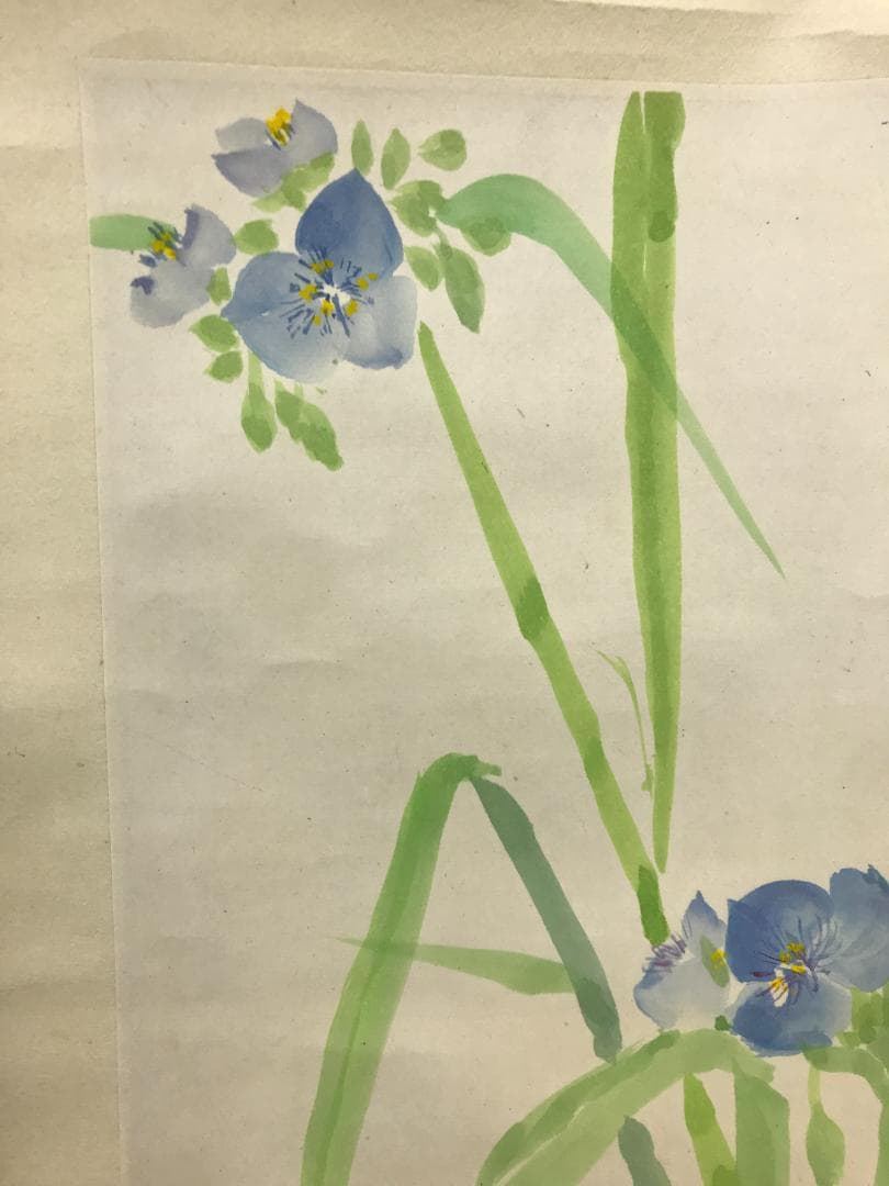 真作/春秋/石上庵春秋/露草/水仙/花/花鳥/桐共箱付/布袋屋掛軸HK-168