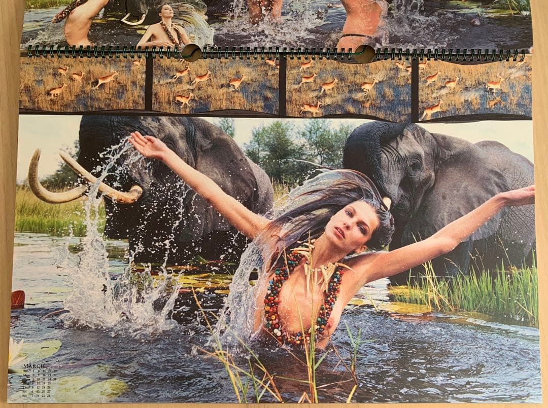 Peter Beard カレンダーPirelli 2009