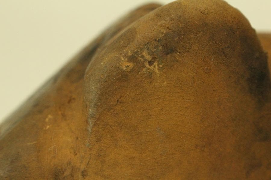 加彩 蛙 土器 インカ ペルーアンデス 希少(ZE797)