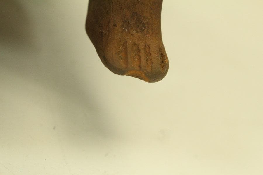 加彩 蛙 土器 インカ ペルーアンデス 希少(ZE797)