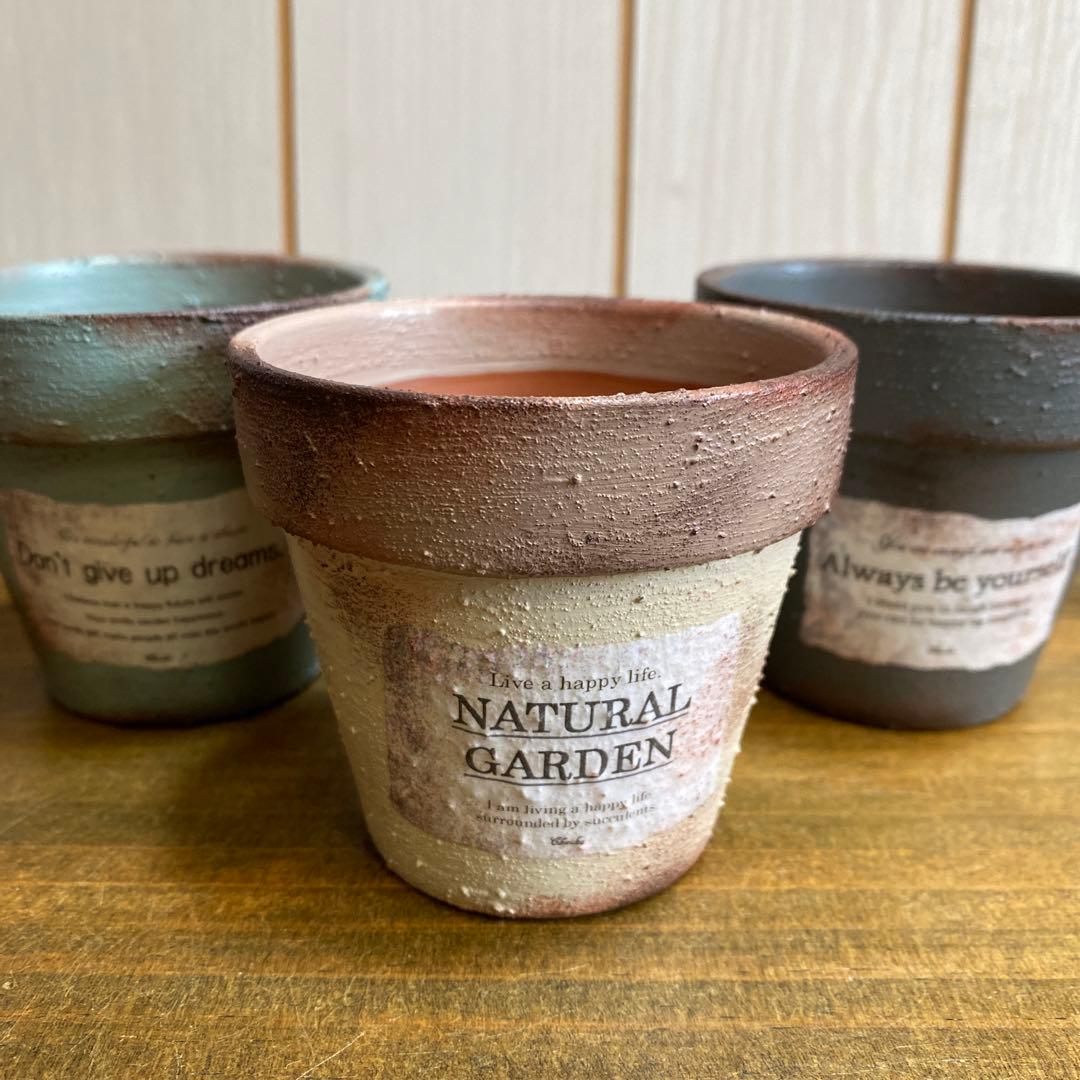 No.374  リメイク鉢　リメ鉢　植木鉢　多肉植物