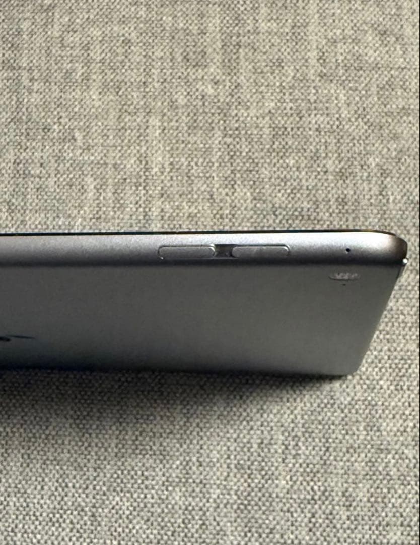 iPad Air 2 128GB動作確認済画面劣化 バッテリー弱本体とケース付き