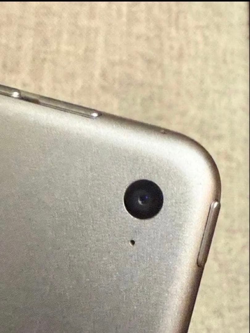 iPad Air 2 128GB動作確認済画面劣化 バッテリー弱本体とケース付き