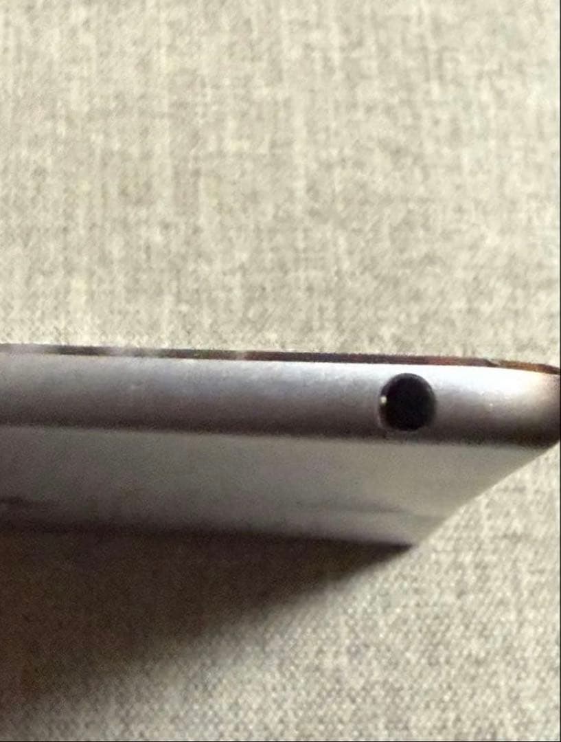 iPad Air 2 128GB動作確認済画面劣化 バッテリー弱本体とケース付き