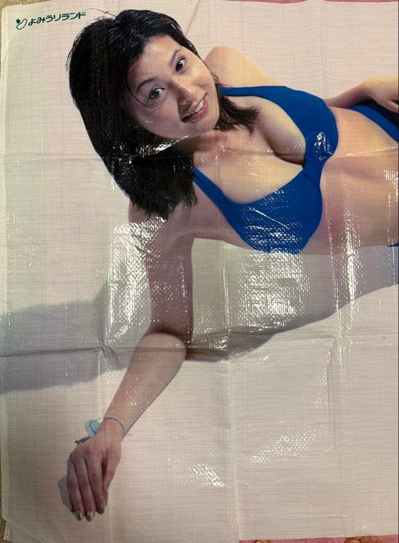 荒木経惟 藤原紀香 非売品 よみうりランド WAI レジャーシート アラーキー