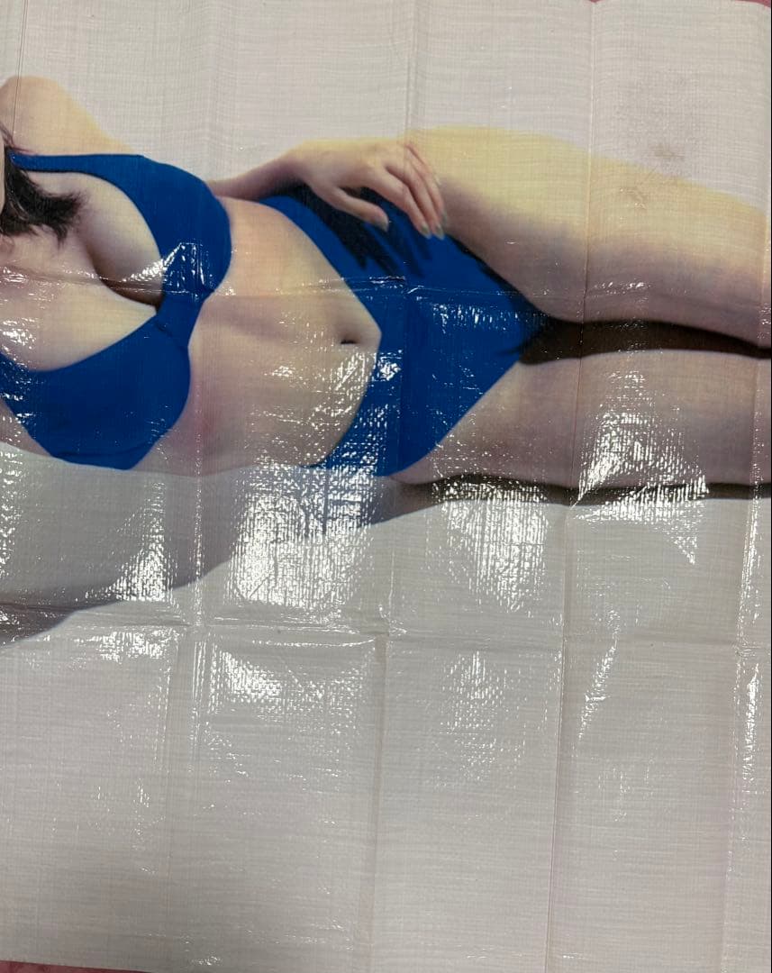 荒木経惟 藤原紀香 非売品 よみうりランド WAI レジャーシート アラーキー