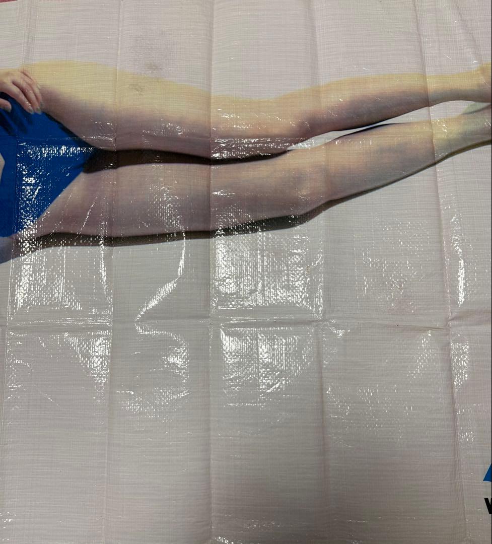 荒木経惟 藤原紀香 非売品 よみうりランド WAI レジャーシート アラーキー