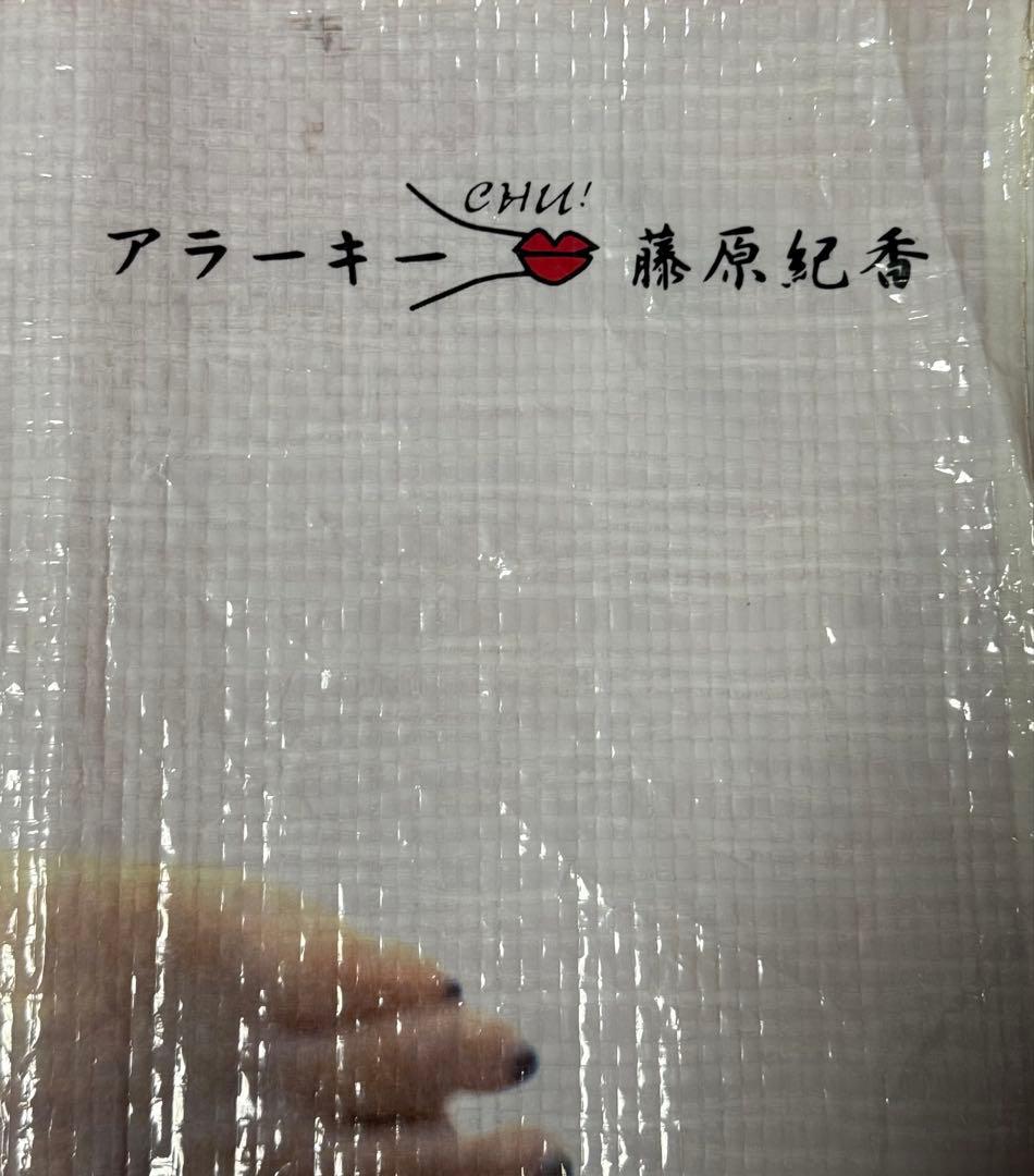 荒木経惟 藤原紀香 非売品 よみうりランド WAI レジャーシート アラーキー