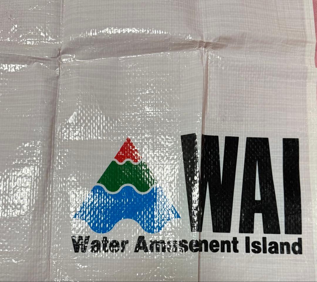 荒木経惟 藤原紀香 非売品 よみうりランド WAI レジャーシート アラーキー