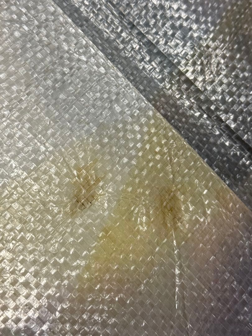 荒木経惟 藤原紀香 非売品 よみうりランド WAI レジャーシート アラーキー