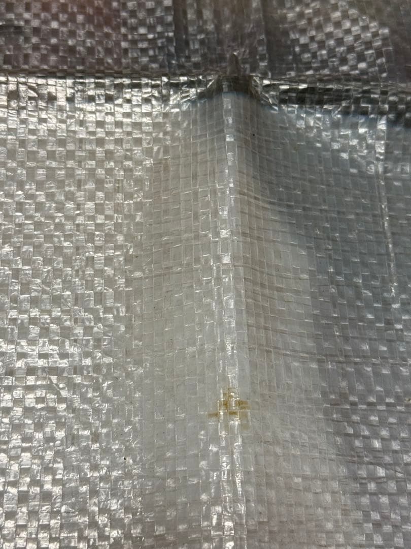 荒木経惟 藤原紀香 非売品 よみうりランド WAI レジャーシート アラーキー