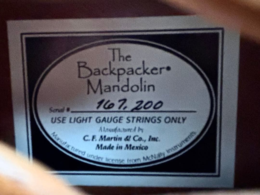 ☆超希少 フラットマンドリン Martin Backpacker ソフトケース付