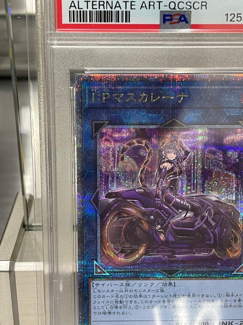 遊戯王OCG IPマスカレーナ PSA10