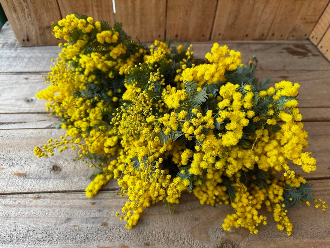 kumi様 リクエスト 2点 まとめ商品