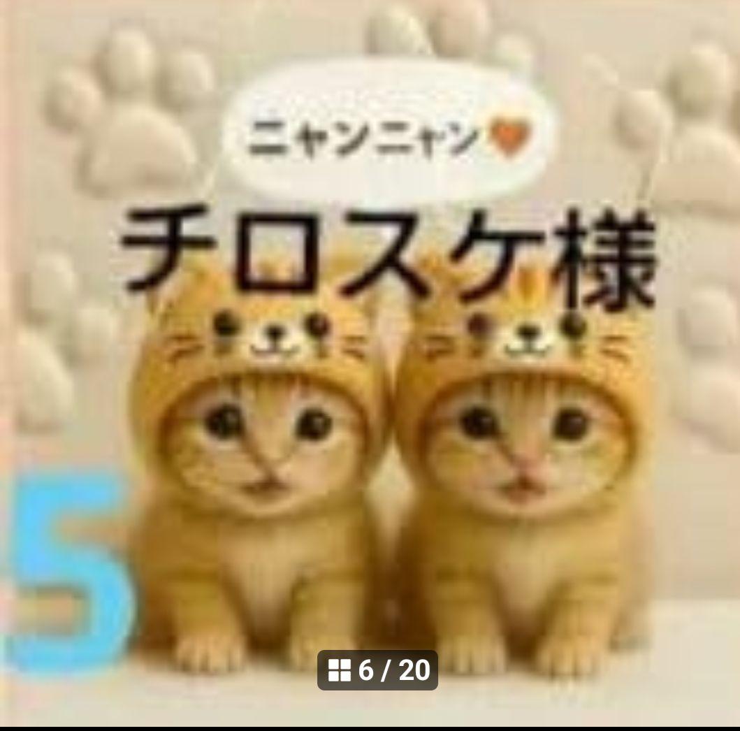 チロスケ　ねこちゃん柄　20