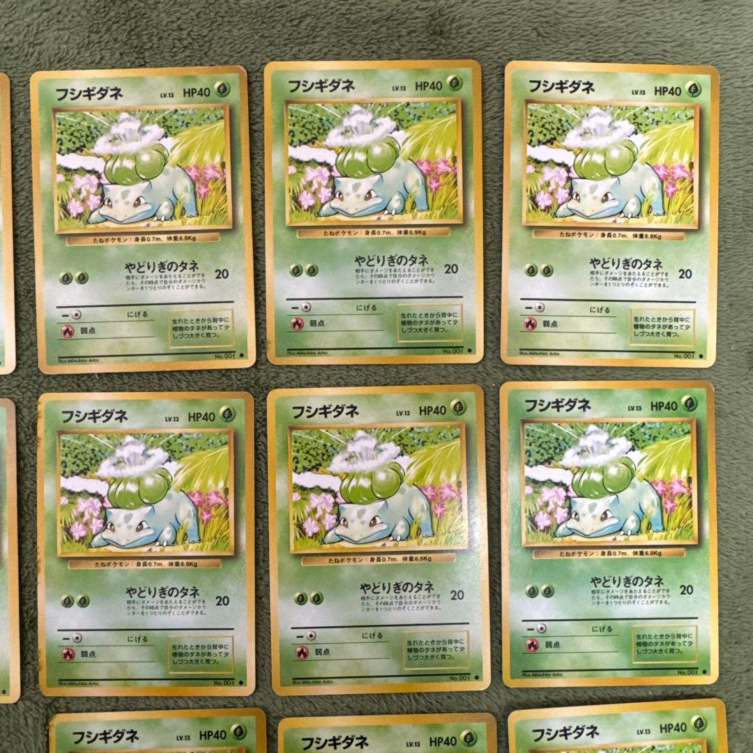 フシギダネ　フシギソウ　旧裏