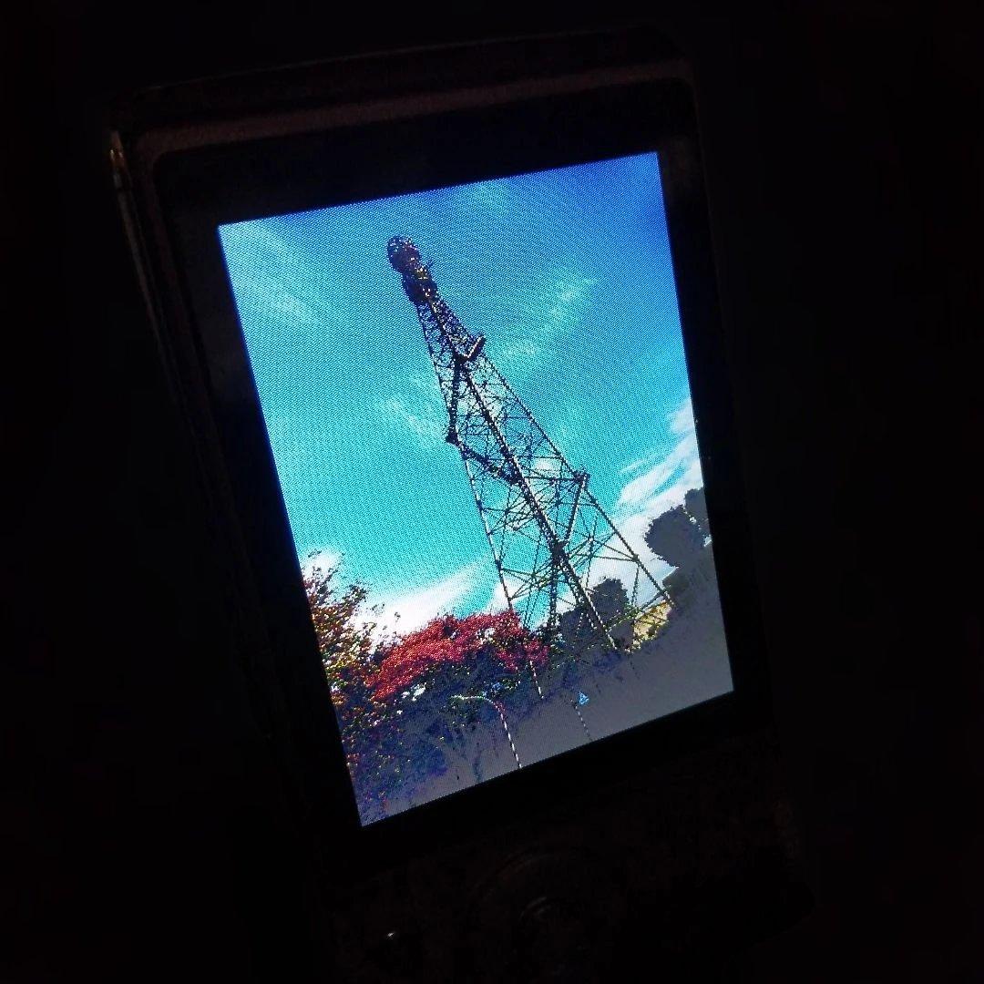 Panasonic LUMIX DMC-FX01　ピンク