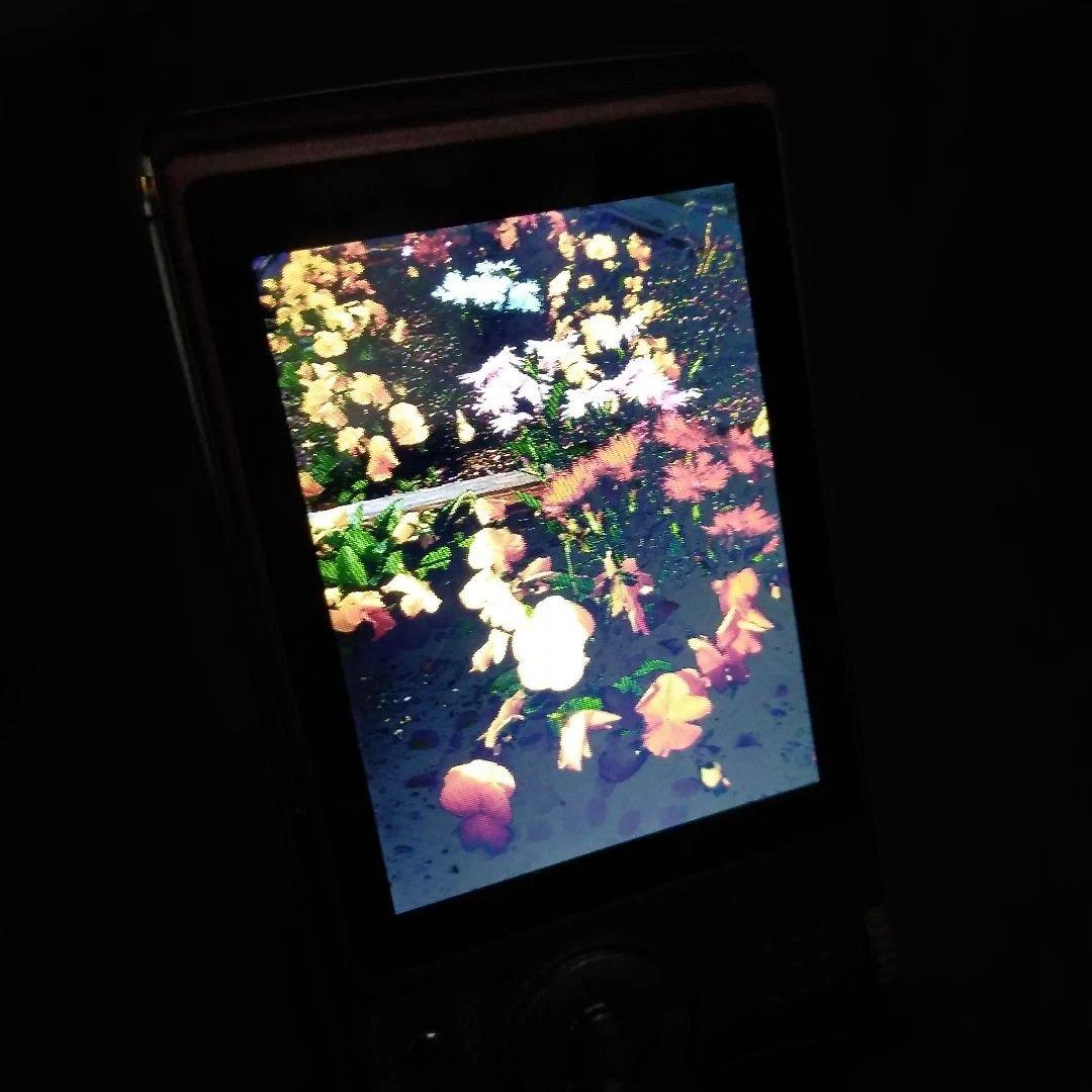 Panasonic LUMIX DMC-FX01　ピンク