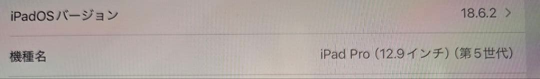 iPadPro(12.9インチ)第5世代 Wi-Fi 128GB