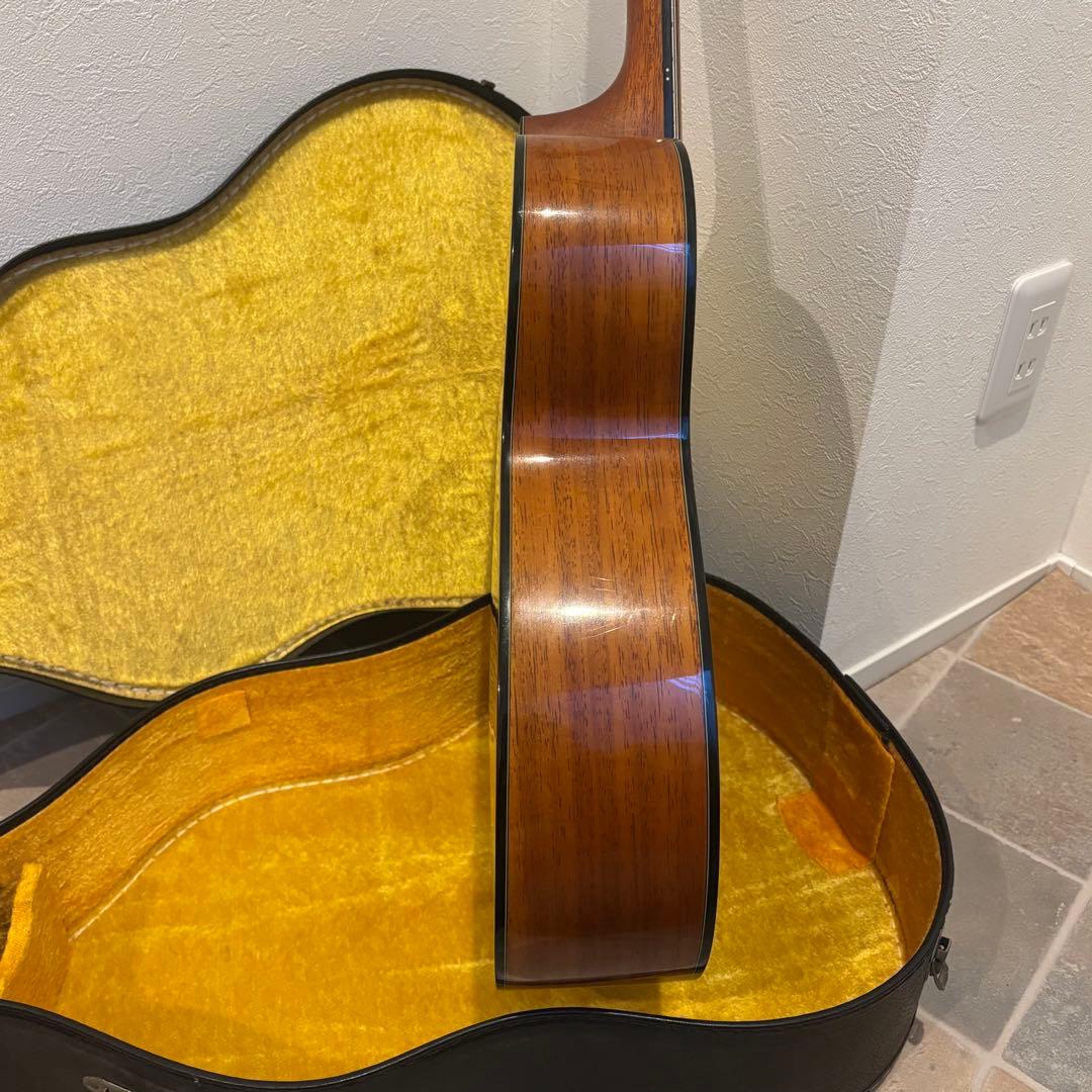 【美品 】Morris モーリス F-01TS アコース ティックギター