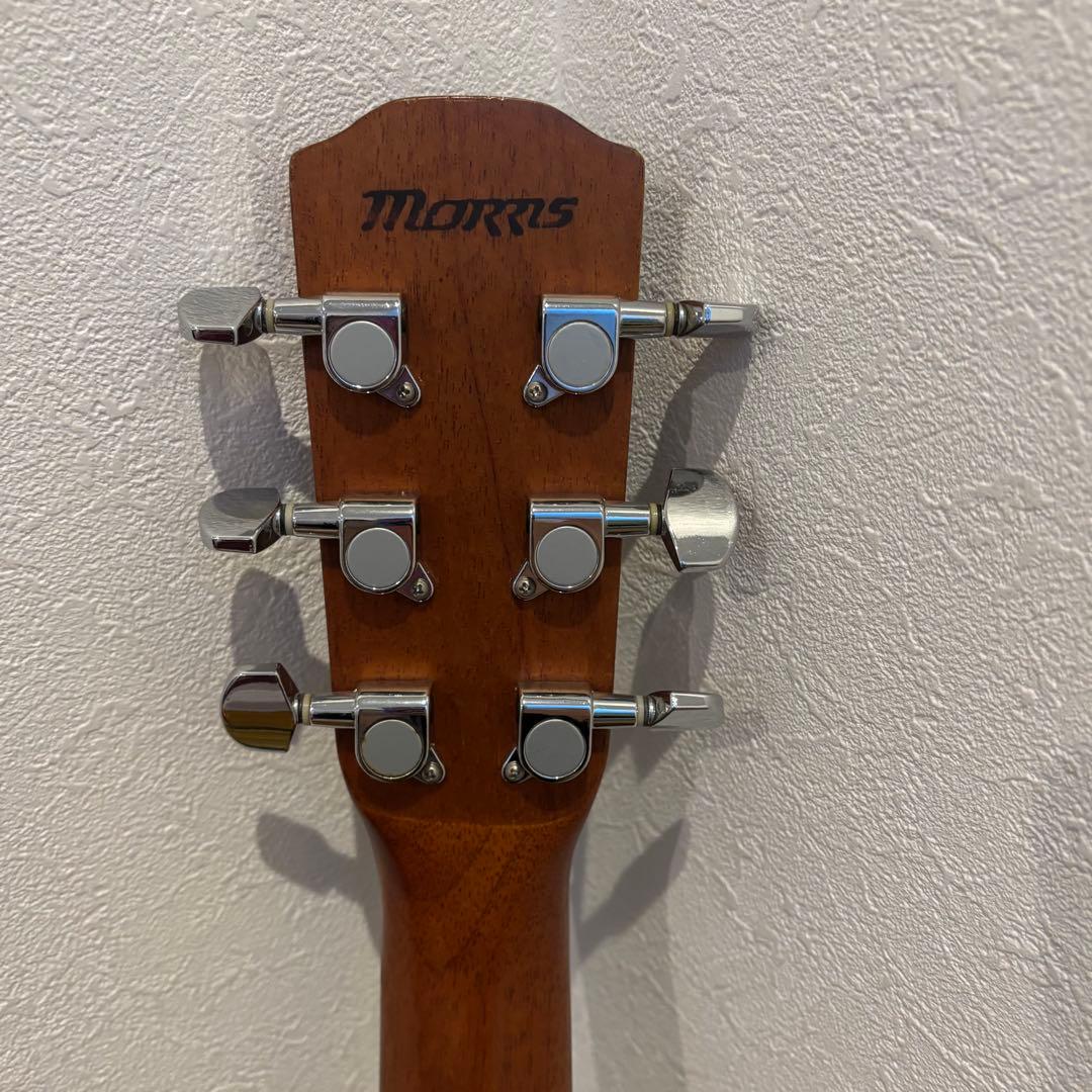 【美品 】Morris モーリス F-01TS アコース ティックギター