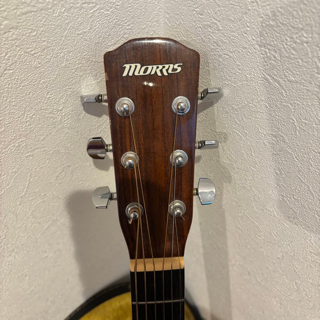 【美品 】Morris モーリス F-01TS アコース ティックギター