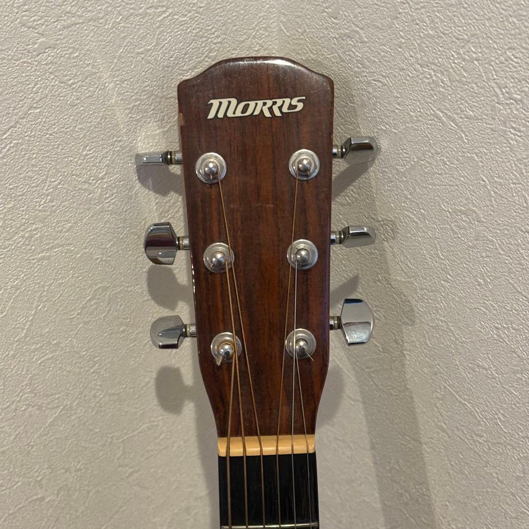 【美品 】Morris モーリス F-01TS アコース ティックギター