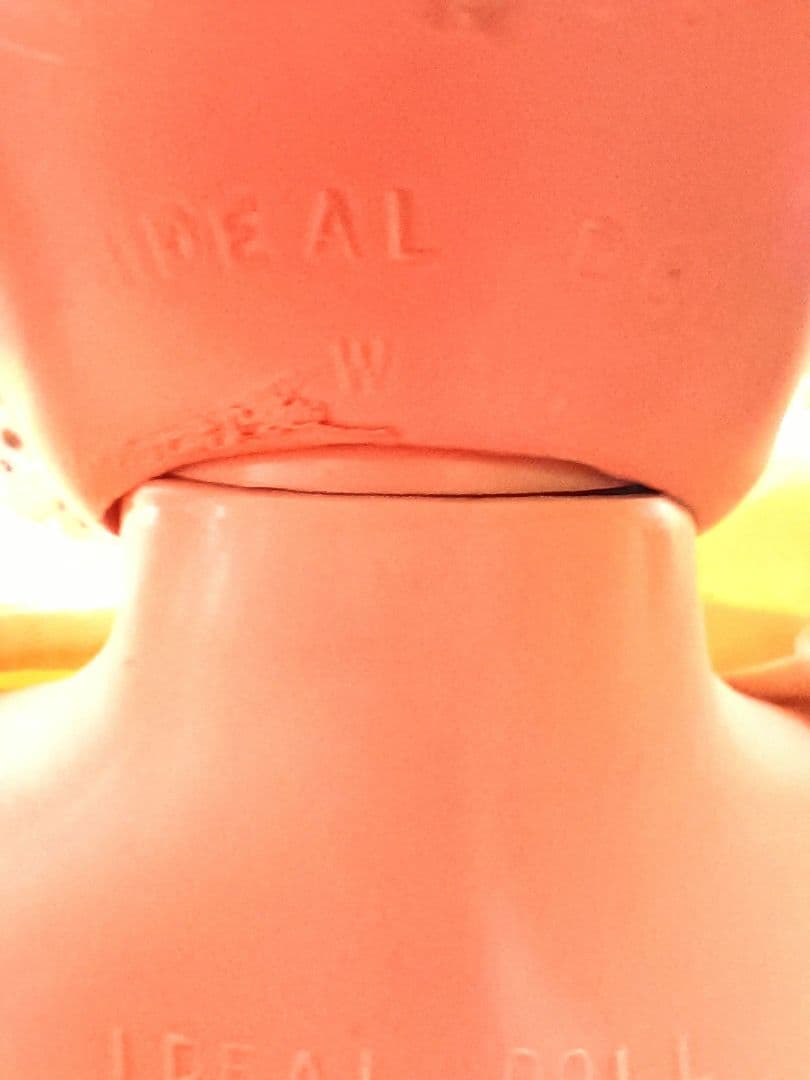 コアラ　アイデアル社ドール