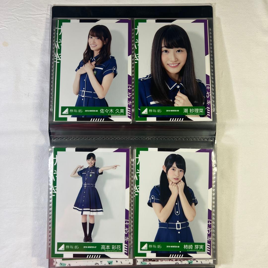 乃木坂46　欅坂46　白石麻衣　西野七瀬　長濱ねる　他　写真60枚セット