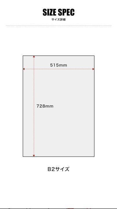 【新品・未開封】THEMATCH 2022 天心×武尊 B2ポスター(5枚セット