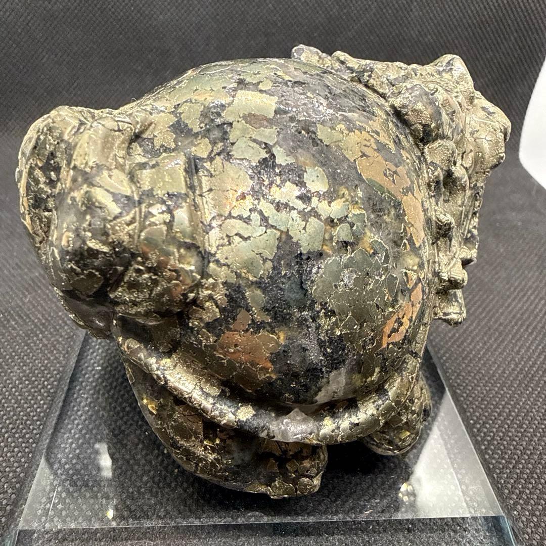 大きい子♪天然石　パイライト　ロングイ【龍亀】　黄鉄鉱