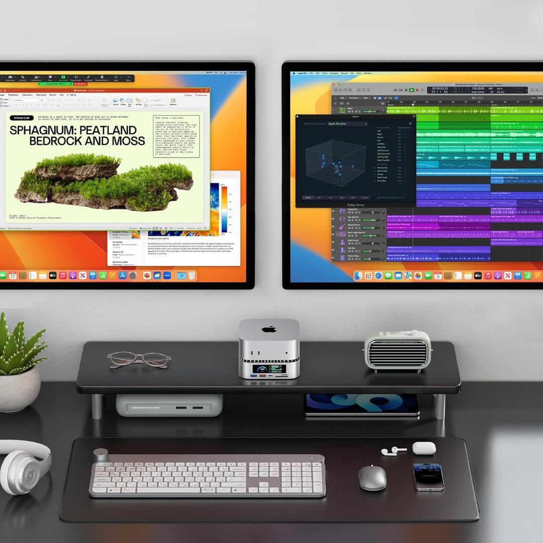 Mac Mini M4 対応ハブ 高精細UI RayCue USB-Cハブ 10