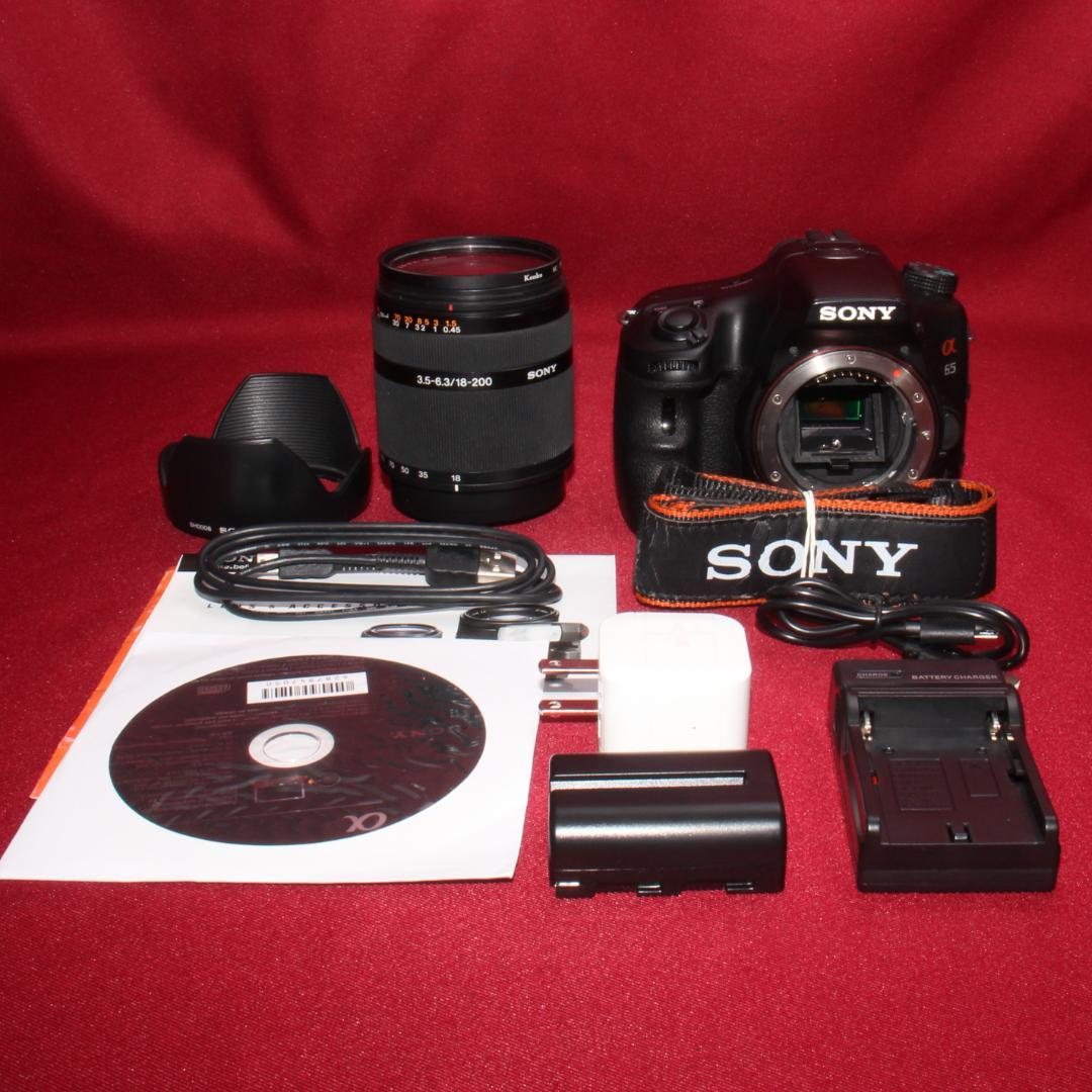 ✨スマホ転送セット付き✨❤️SONY SLT-A65 近遠対応神レンズセット❤️