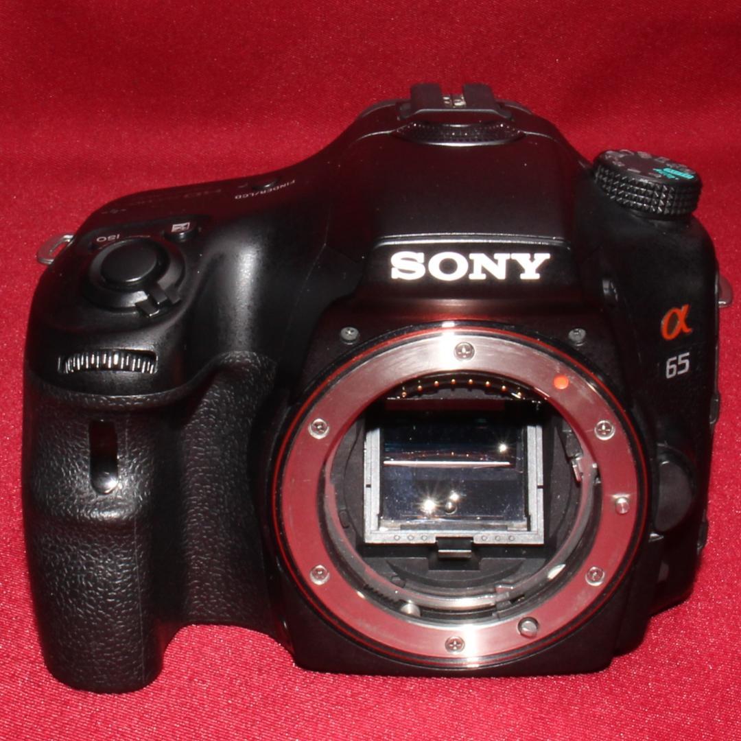 ✨スマホ転送セット付き✨❤️SONY SLT-A65 近遠対応神レンズセット❤️