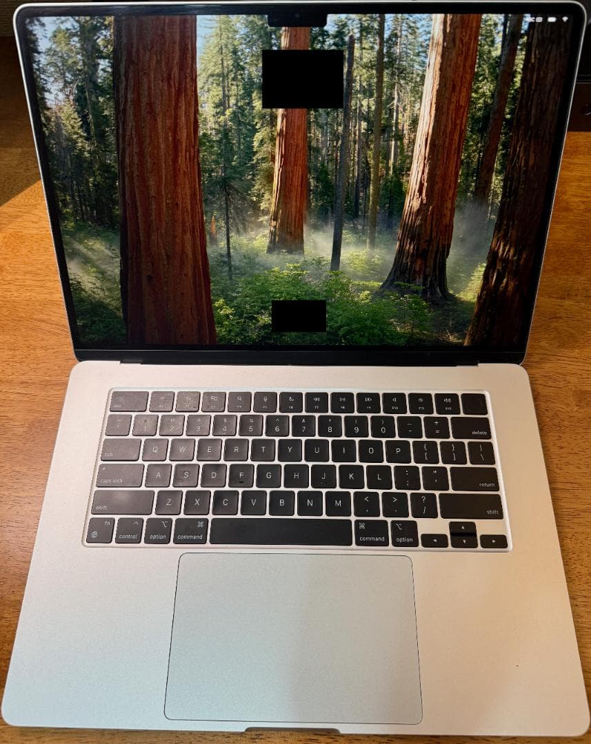 MacBook Air 15インチ（M3 / 24GB / 1TB）シルバー
