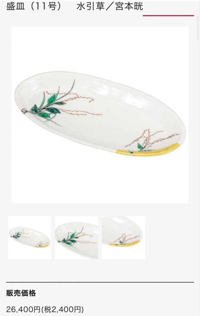 宮本晄さん　九谷焼　11号　大皿　オーバル　春待ち