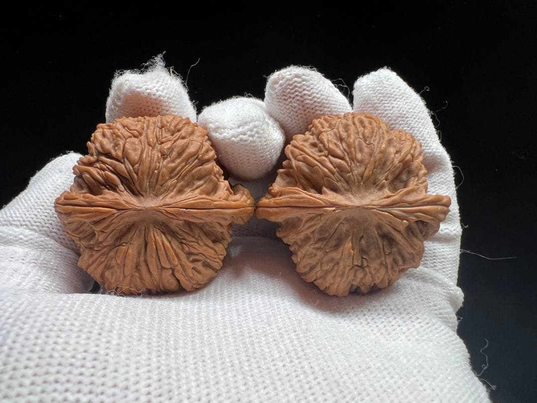 文玩堂：ムンセン承徳密紋 木栓狮子头胡桃（無修整）