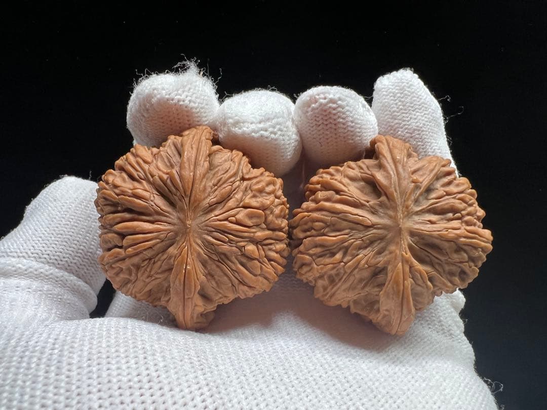 文玩堂：ムンセン承徳密紋 木栓狮子头胡桃（無修整）